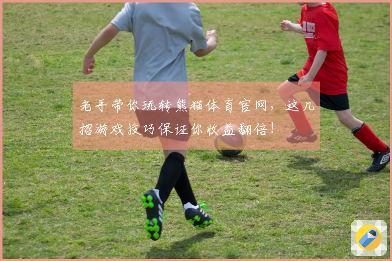 老手带你玩转熊猫体育官网，这几招游戏技巧保证你收益翻倍！
